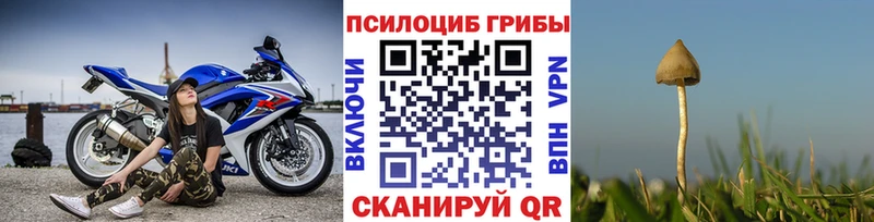 Галлюциногенные грибы ЛСД  Цоци-Юрт 